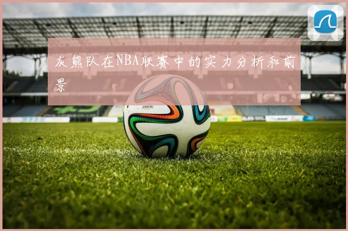 灰熊队在NBA联赛中的实力分析和前景