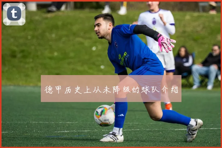 德甲历史上从未降级的球队介绍