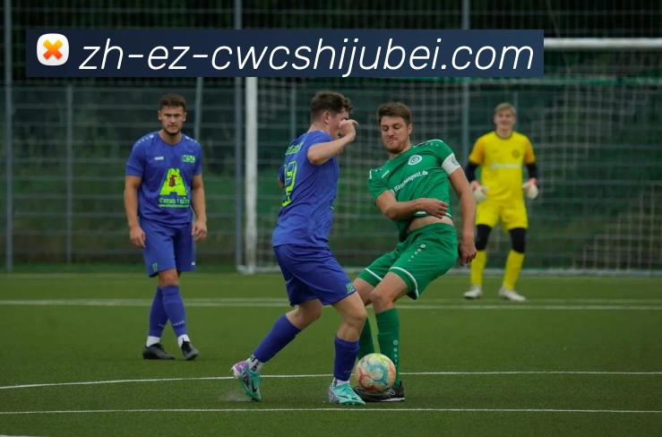 世界杯买球平台生态图